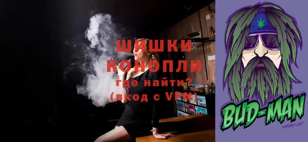 дмт Лиски