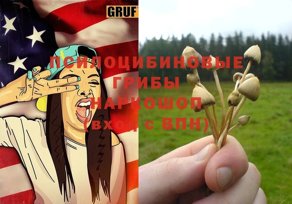 дмт Лиски