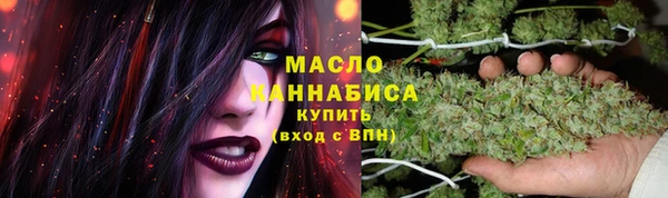 дмт Лиски