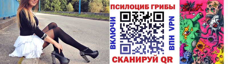 Купить закладки  Находка  Псилоцибиновые грибы мухоморы 